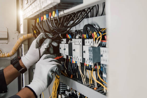 Best Electric Panel Repair  in Laurel, DE